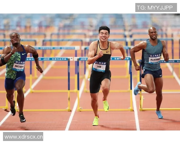 上海乒乓球队在钻石联赛中的战术分析与表现评估