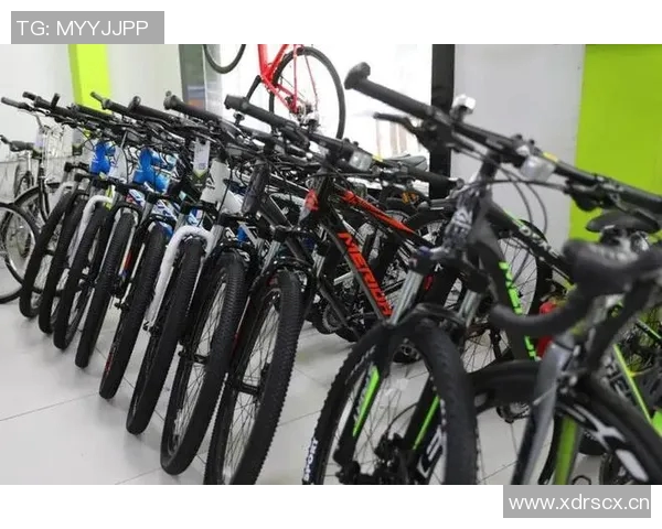 滑板精英赛最新积分榜上海飞盘队以62分稳居第一名