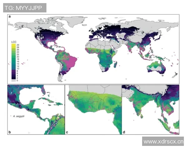 全球气候变化加剧各地极端天气频发 科学家警告未来五年或将更加严重 全球气候变化加剧各地极端天气频发 科学家警告未来五年或将更加严重