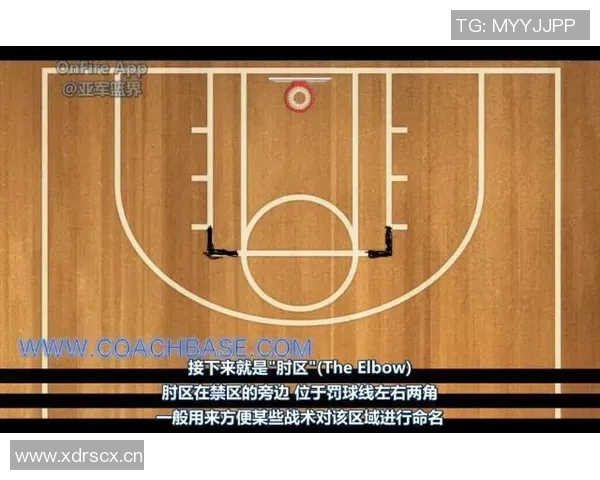 广州篮球队的比赛节奏与战术分析探讨篮球魅力与团队协作的重要性