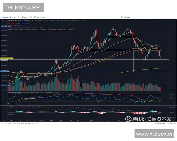 武汉排球队与广州排球队赛后技术分析与战术复盘探讨
