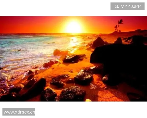 刘强独家分享排球心得与技巧助你提升球技的全面指南 刘强独家分享排球心得与技巧助你提升球技的全面指南